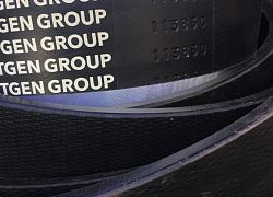 Приводной ремень 113850